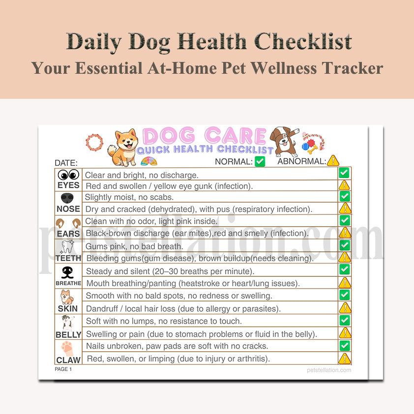11D Daily Dog Health Checklist – Simple Daily Checks for a Healthier, Happier Dog