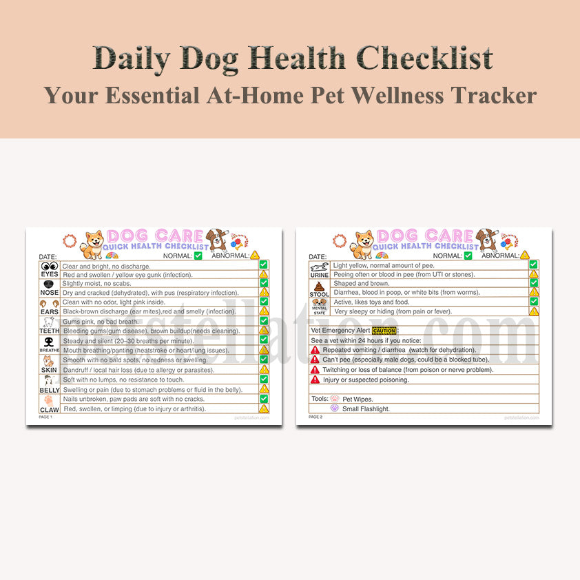 11D Daily Dog Health Checklist – Simple Daily Checks for a Healthier, Happier Dog