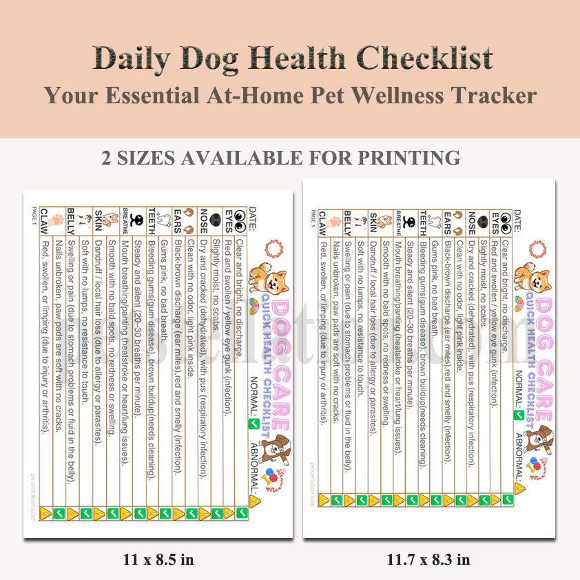 11D Daily Dog Health Checklist – Simple Daily Checks for a Healthier, Happier Dog