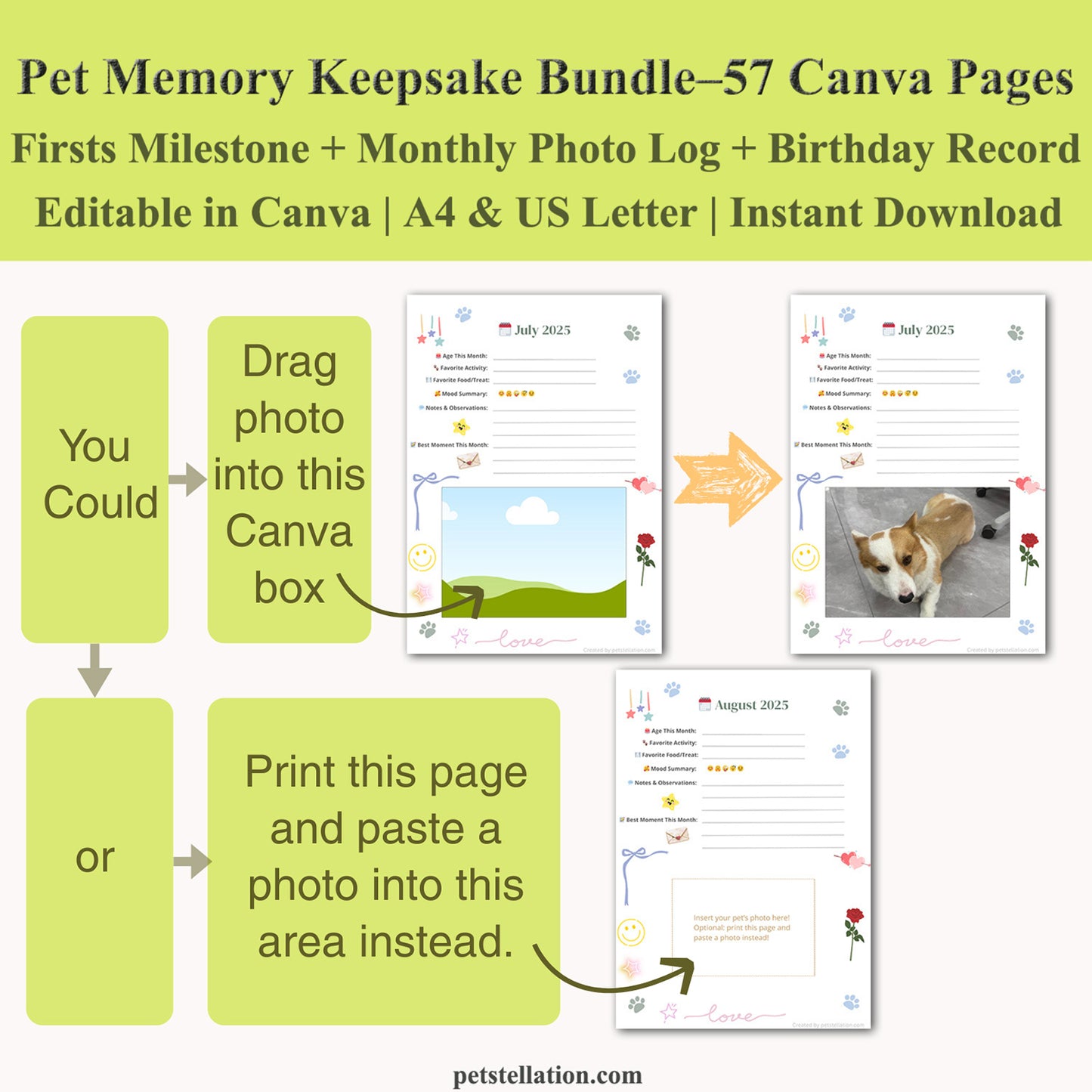 00D6 Pet Memory Keepsake Bundle – Editable Canva Templates for Milestones, Monthly Photo Log & Birthday Records