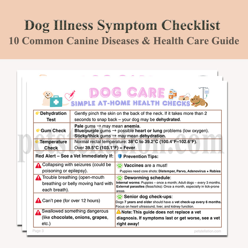 11D-1 Dog Illness Symptom Checklist & Home Care Guide – 10 Common Canine Diseases (Printable PDF)