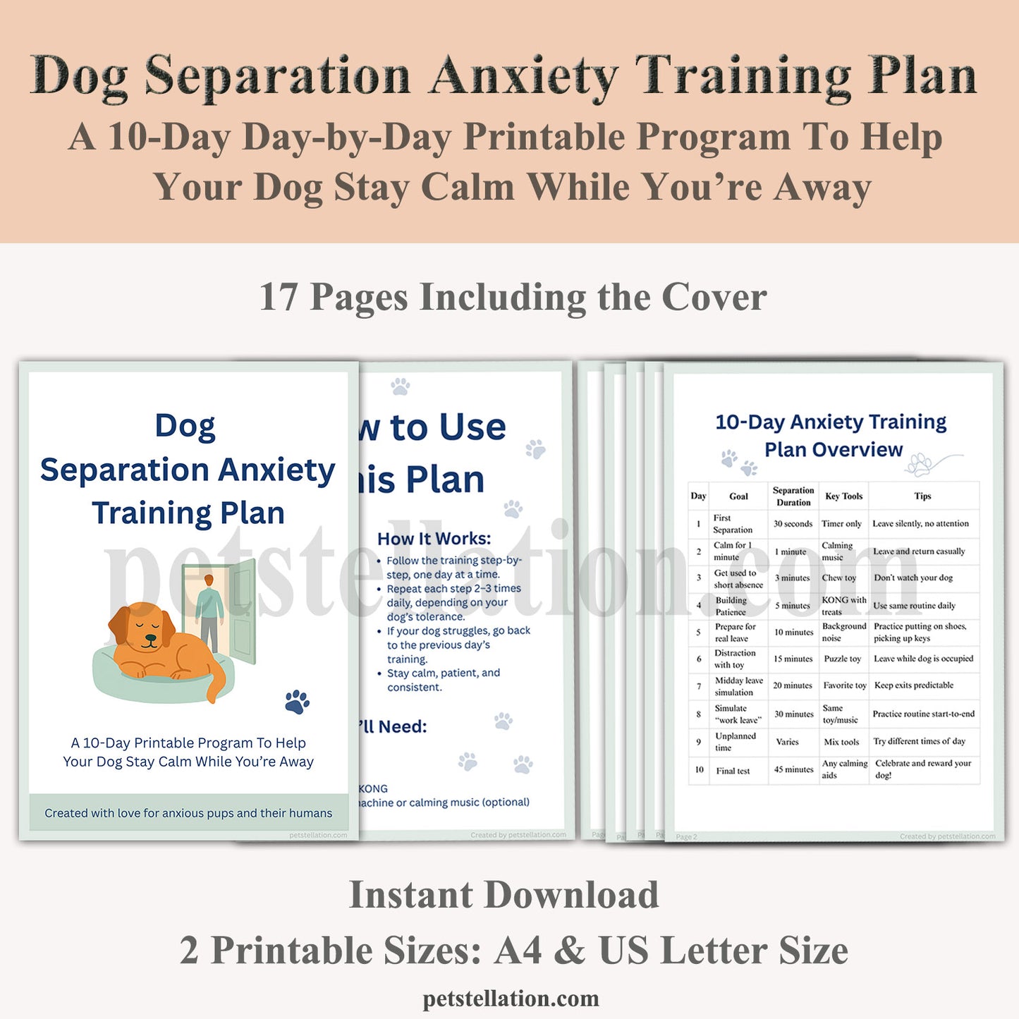 01F6 Dog Separation Anxiety Training Plan (Printable PDF) – 10-Day Step-by-Step Behavior Tracker