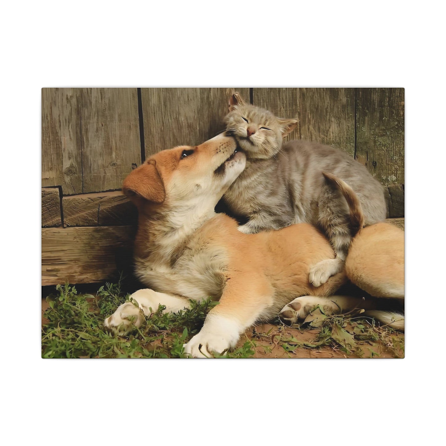 A0E Custom Pet Portrait Canvas – Personalized Wall Art from Your Pet’s Photo, Eco-Friendly Print on Wood Frame