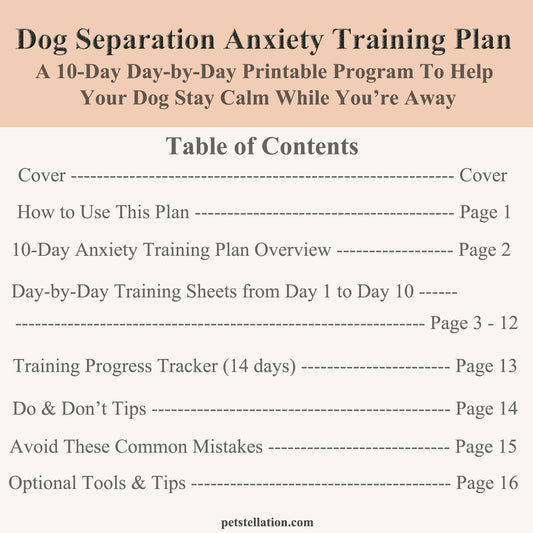 01F6 Dog Separation Anxiety Training Plan (Printable PDF) – 10-Day Step-by-Step Behavior Tracker